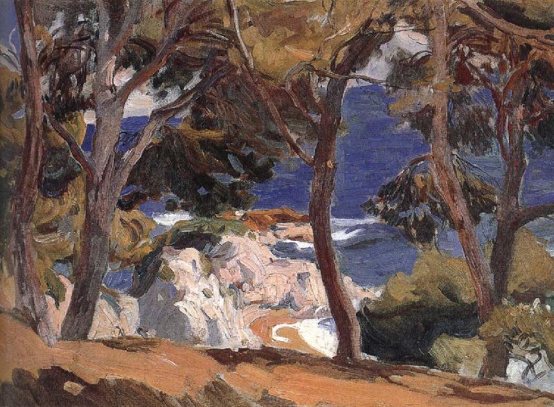 Joaquin Sorolla Landscape Project